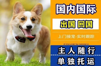 迪庆州宠物托运公司迪庆州宠物托运公司迪庆州宠物托运公司