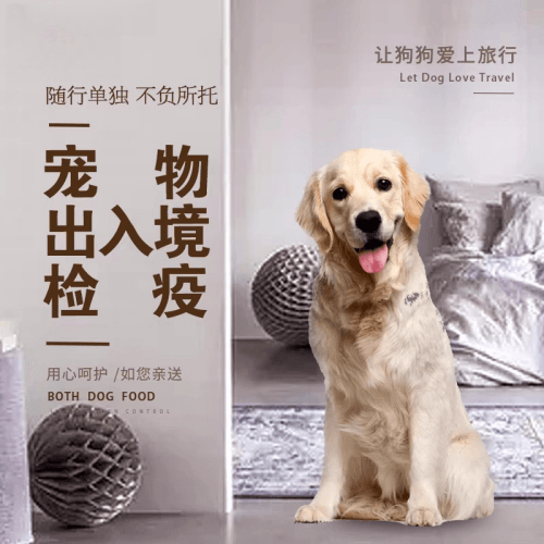 迪庆州宠物托运到哥伦比亚猫狗宠物入境规定和