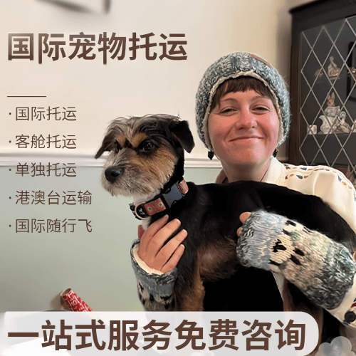 迪庆州国际宠物托运到阿根廷宠物入境规定和要