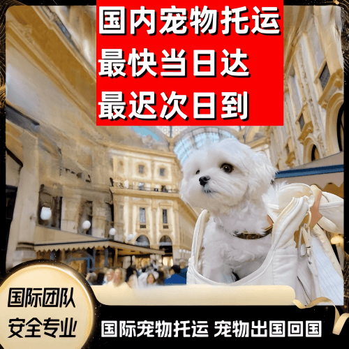迪庆州到澳大利亚（澳洲）宠物入境规定和要求