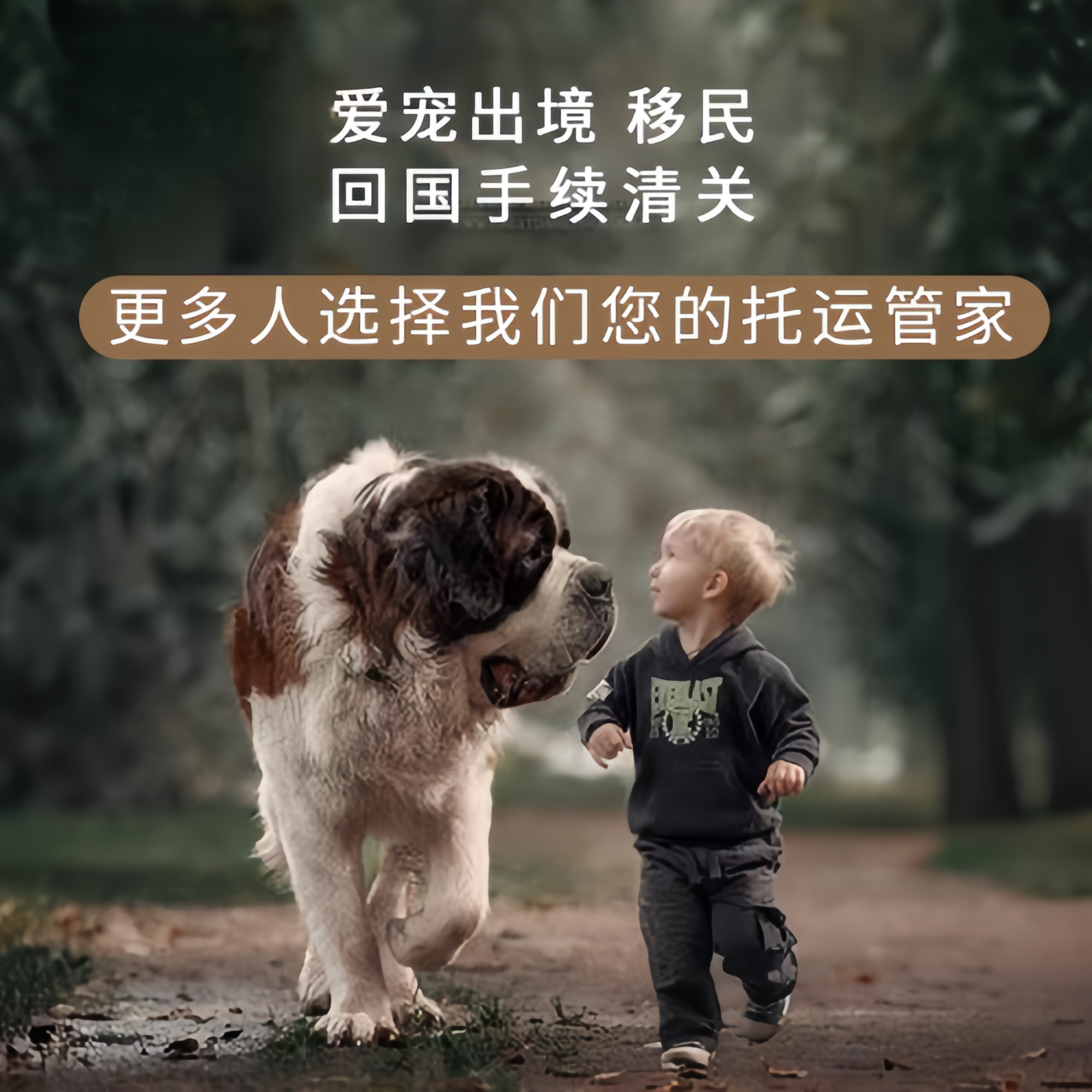 满财迪庆州宠物全球达宠物托运在遵守入境目的地政策的条件
