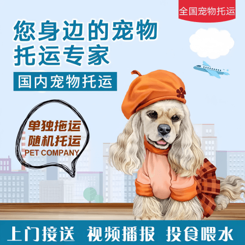 满财迪庆州宠物全球达宠物托运作为专业的宠物运输代理机构